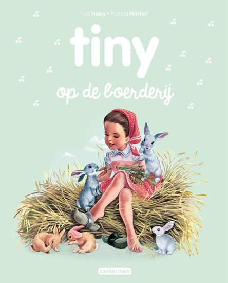 Afbeelding van Tiny nieuwe stijl Tiny op de boerderij