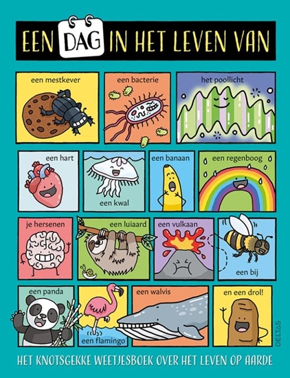 Afbeelding van Een dag in het leven van