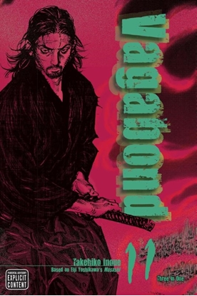Afbeeldingen van Vagabond (VIZBIG Edition) Vagabond (VIZBIG Edition), Vol. 11