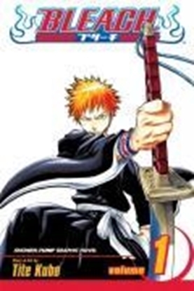 Afbeeldingen van Bleach Bleach, Vol. 1