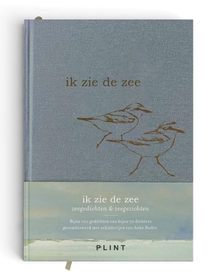 Afbeelding van ik zie de zee
