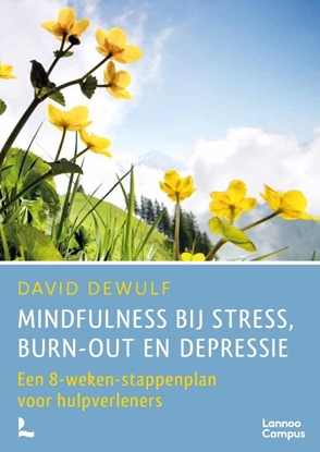 Afbeeldingen van Mindfulness bij stress, burn-out en depressie