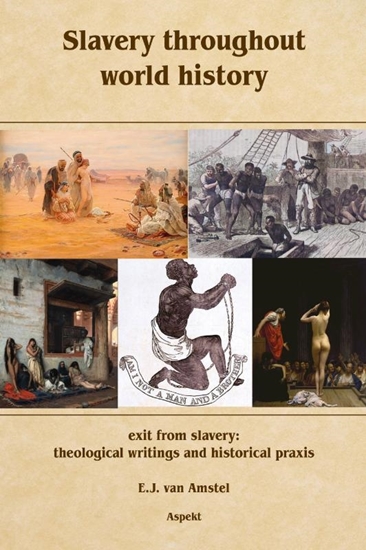 Afbeelding van Slavery throughout world history