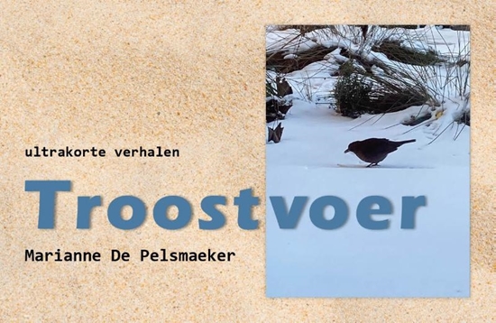 Afbeelding van Troostvoer