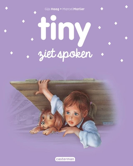 Afbeelding van Tiny Tiny ziet spoken