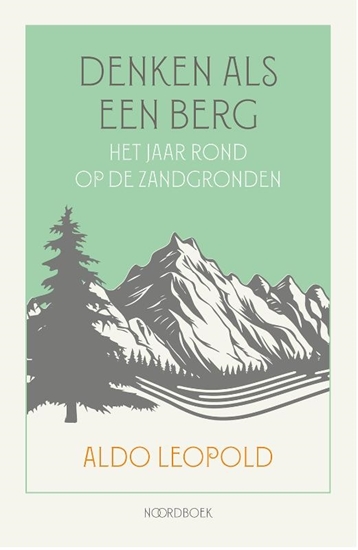 Afbeelding van Denken als een berg