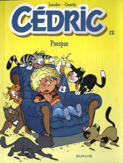 Afbeelding van Cédric Poespas