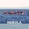Afbeelding van Vogelfamilies Nebula