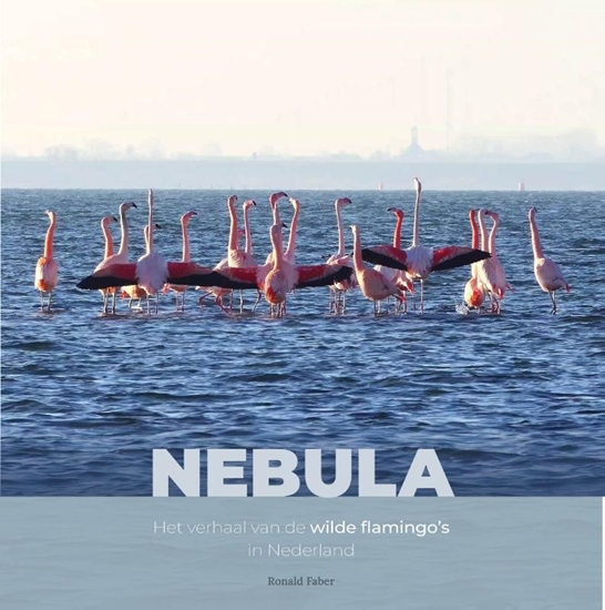 Afbeelding van Vogelfamilies Nebula