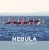 Afbeelding van Vogelfamilies Nebula