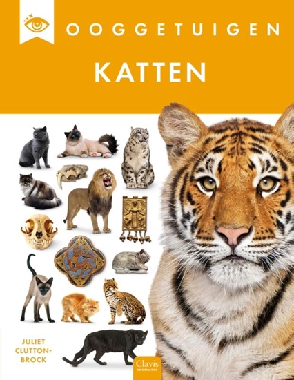 Afbeelding van Ooggetuigen Katten