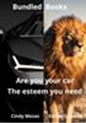 Afbeeldingen van Bundled Books: Are You Your Car? | The Esteem You Need