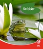 Afbeelding van Kijkdoos de kikker