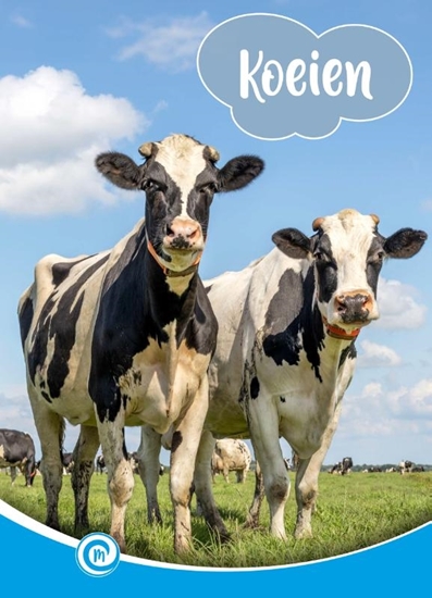 Afbeelding van Mini Informatie Koeien