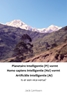 Afbeelding van Planetaire Intelligentie (PI) vormt Homo sapiens Intelligentie (HsI) vormt Artificiële Intelligentie (AI)