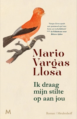 Afbeeldingen van Ik draag mijn stilte op aan jou