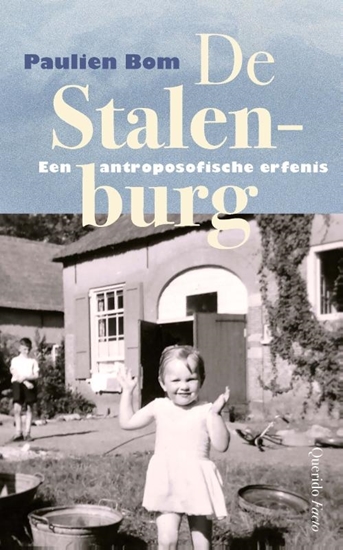 Afbeelding van De Stalenburg