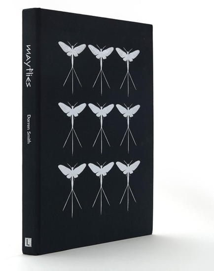 Afbeelding van Mayflies