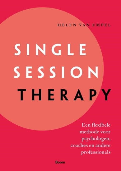 Afbeelding van Single session therapy