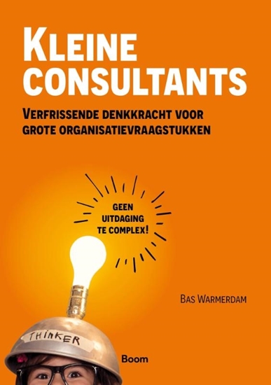 Afbeelding van Kleine consultants