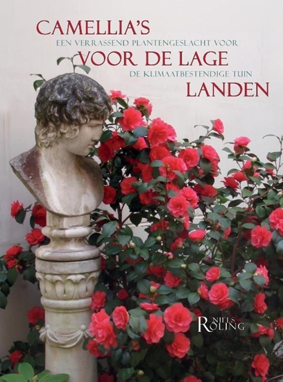 Afbeelding van Camellia's voor de Lage Landen