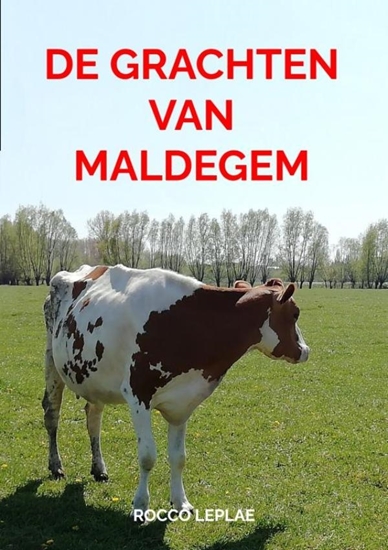 Afbeelding van De grachten van Maldegem