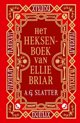 Afbeeldingen van Het heksenboek van Ellie Briar