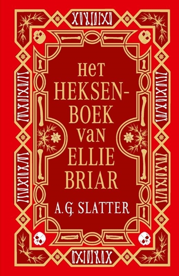 Afbeelding van Het heksenboek van Ellie Briar