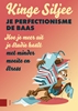 Afbeelding van Je perfectionisme de baas