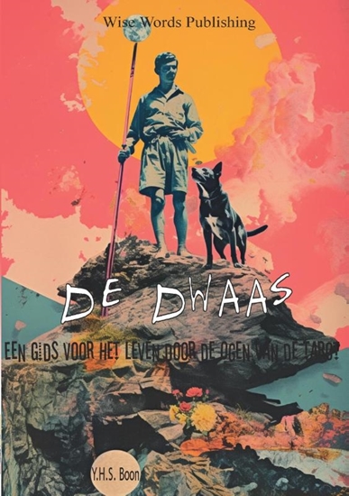 Afbeelding van De Dwaas