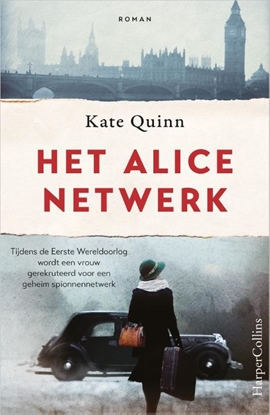 Afbeeldingen van Het Alice-netwerk