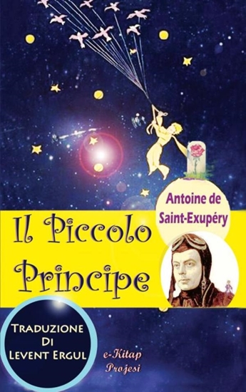 Afbeelding van Il Piccolo Principe