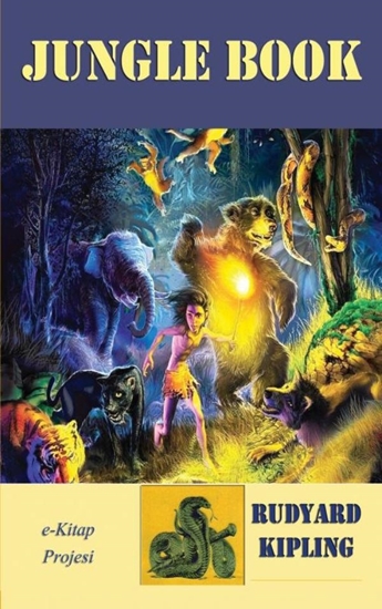 Afbeelding van Jungle Book