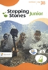 Afbeelding van Stepping Stones Junior Step 3B Workbook