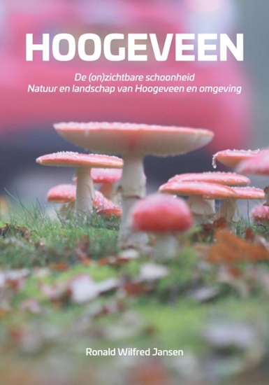 Afbeelding van Hoogeveen. De (on)zichtbare schoonheid. Natuur en landschap van Hoogeveen en omgeving