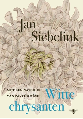 Afbeeldingen van Witte chrysanten