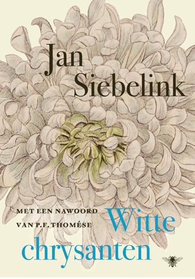 Afbeelding van Witte chrysanten