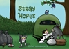 Afbeelding van Stray Hopes