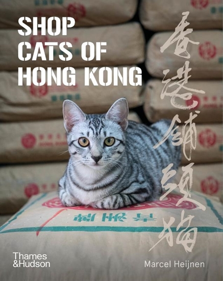 Afbeelding van Shop Cats of Hong Kong
