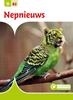 Afbeelding van Junior Informatie Nepnieuws