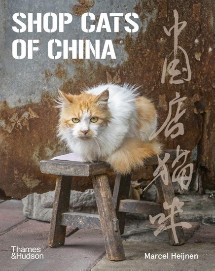 Afbeelding van Shop Cats of China