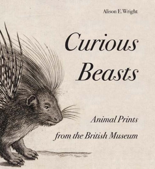 Afbeelding van Curious Beasts