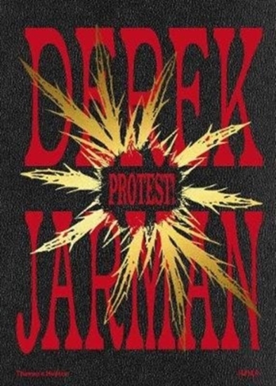 Afbeelding van Derek Jarman: Protest!