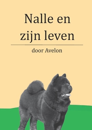 Afbeeldingen van Nalle en zijn leven