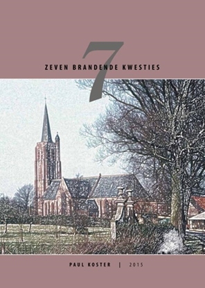 Afbeeldingen van Zeven brandende kwesties