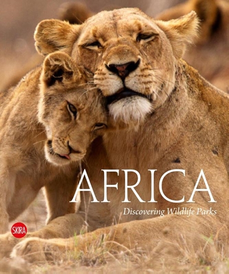 Afbeelding van Africa
