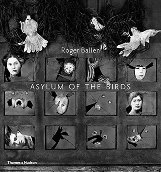 Afbeelding van Asylum of the Birds