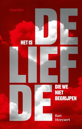Afbeelding van Het is de liefde die we niet begrijpen