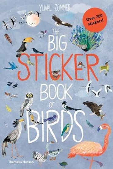 Afbeelding van The Big Book series The Big Sticker Book of Birds