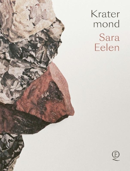 Afbeelding van 9789021488936